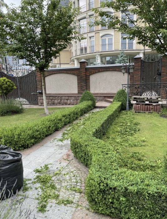 Догляд за ділянками топіарні стрижки,лікування,послуги садівника