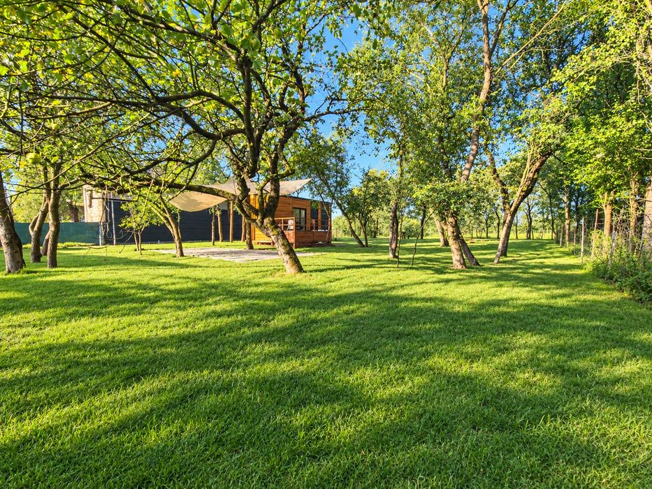 SYLWESTER 26/27, Domek z strefą SPA na wyłaczność,Sauna,Balia  i beczka na Jurze  przytulny domek Tiny. Jurajska Strefa Relaksu,Reset,weekend we dwoje