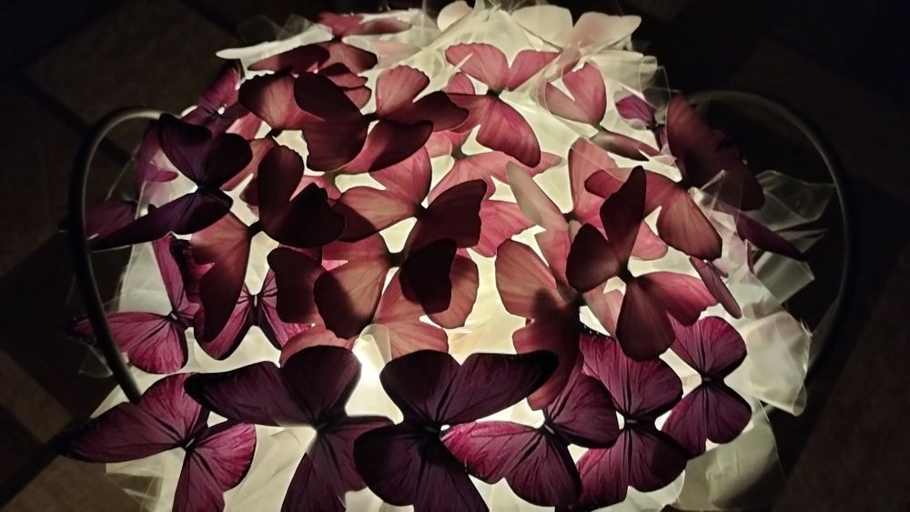 Корзинка из бабочек