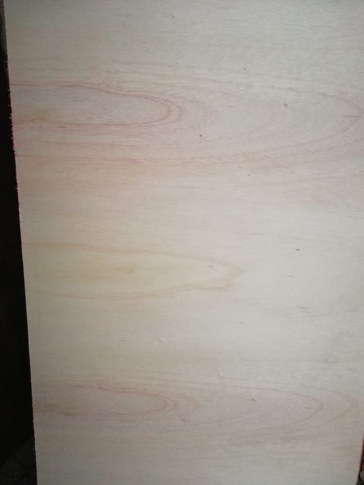 Sklejka suchotrwała lekka FALCATA 1220×2440 g. 3,6; 5; 9; 12; 15; 18mm