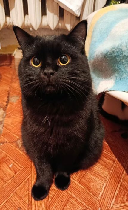 Хлопчик шукає дім