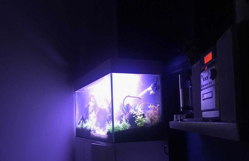 Akwarium 200 litrów + szafka i pokrywa alu biały lakier + osprzęt