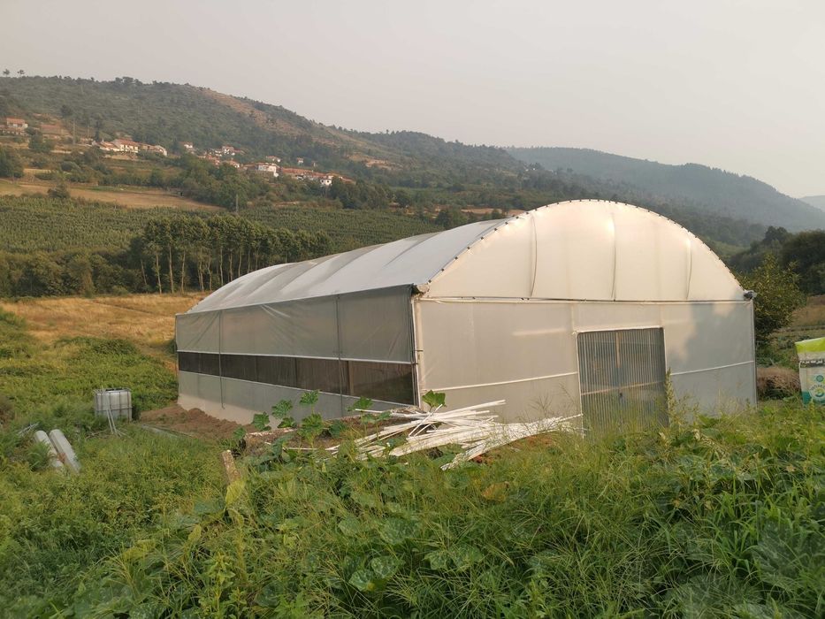 Estufa Agrícola (já desmontada)