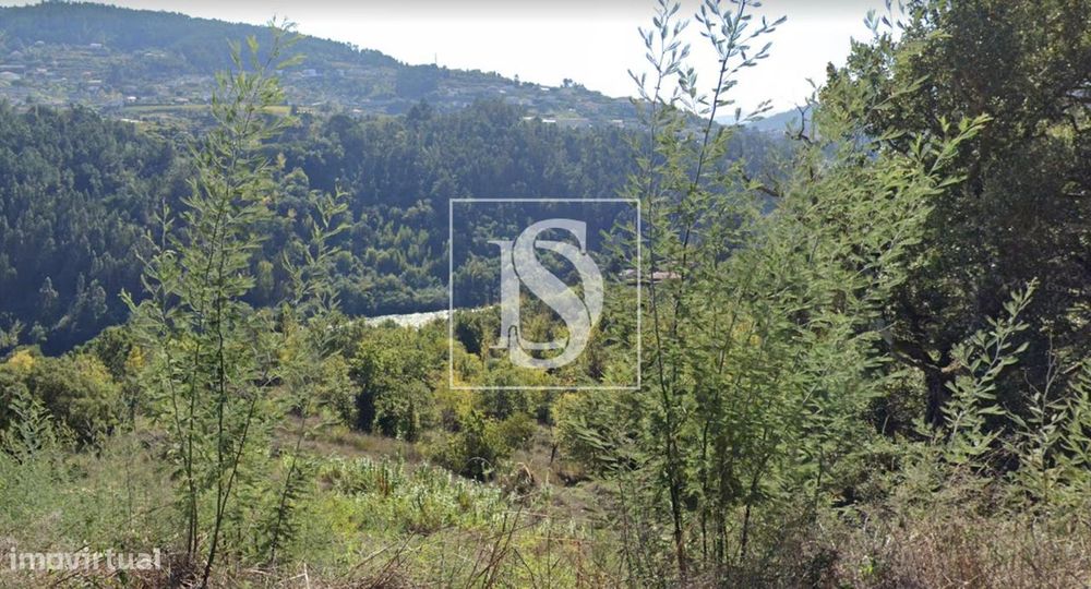 Quinta  Venda em Alpendorada, Várzea e Torrão,Marco de Canaveses