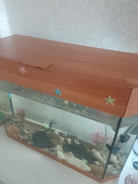 Акваріум 80 літрів