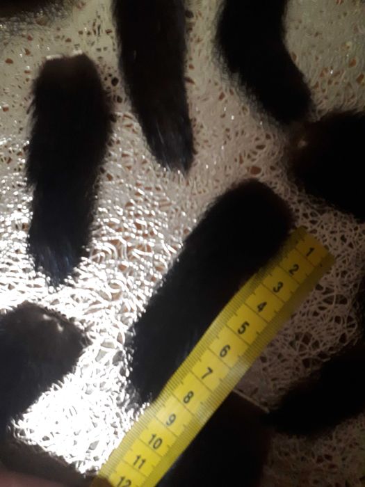 Хвостики норки разных размеров