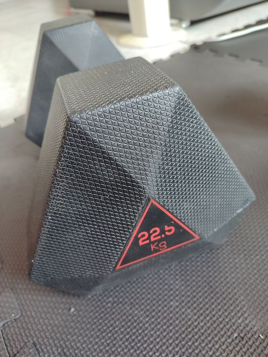 1 haltere domyos 22,5kg