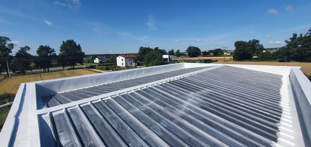 Naprawa / Remont / Renowacja -> DACH / DEKARZ