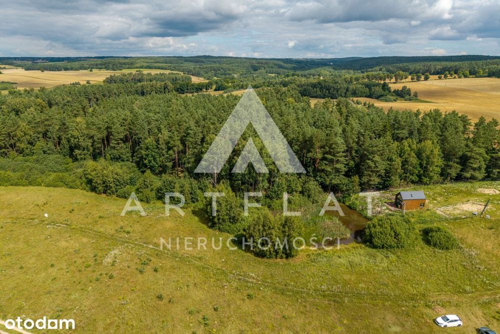 MPZP, las i staw , Szczodrowo - Widok 2