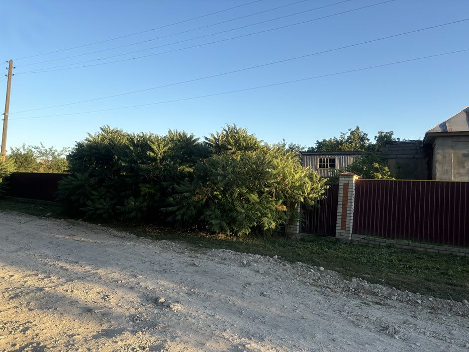 Житловий будинок