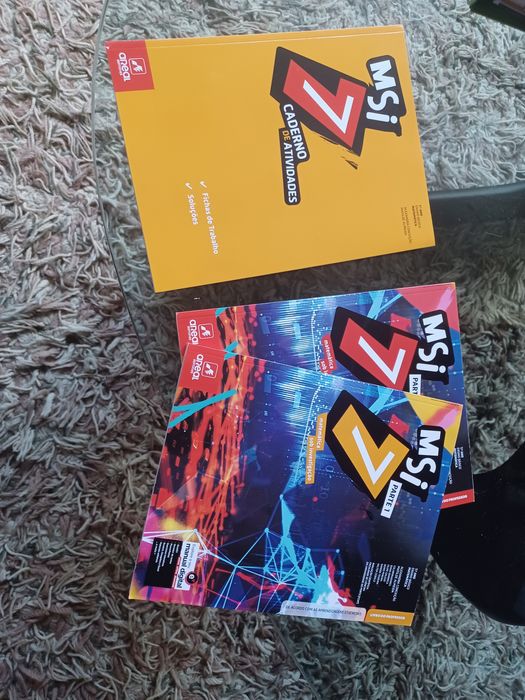 MSI 7 - Livro do professor, Manual e Caderno de Atividades