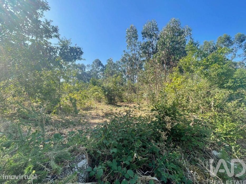 Terreno em Vila de Punhe de 4388,00 m2