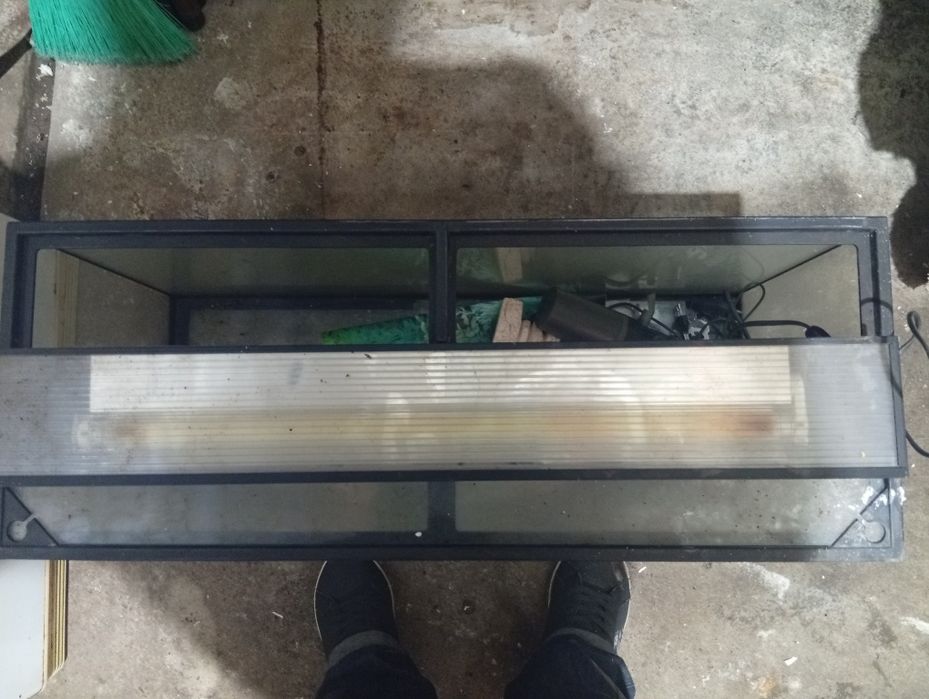 Aquário e respectivos