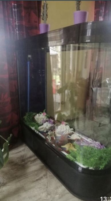 Продаж акваріума