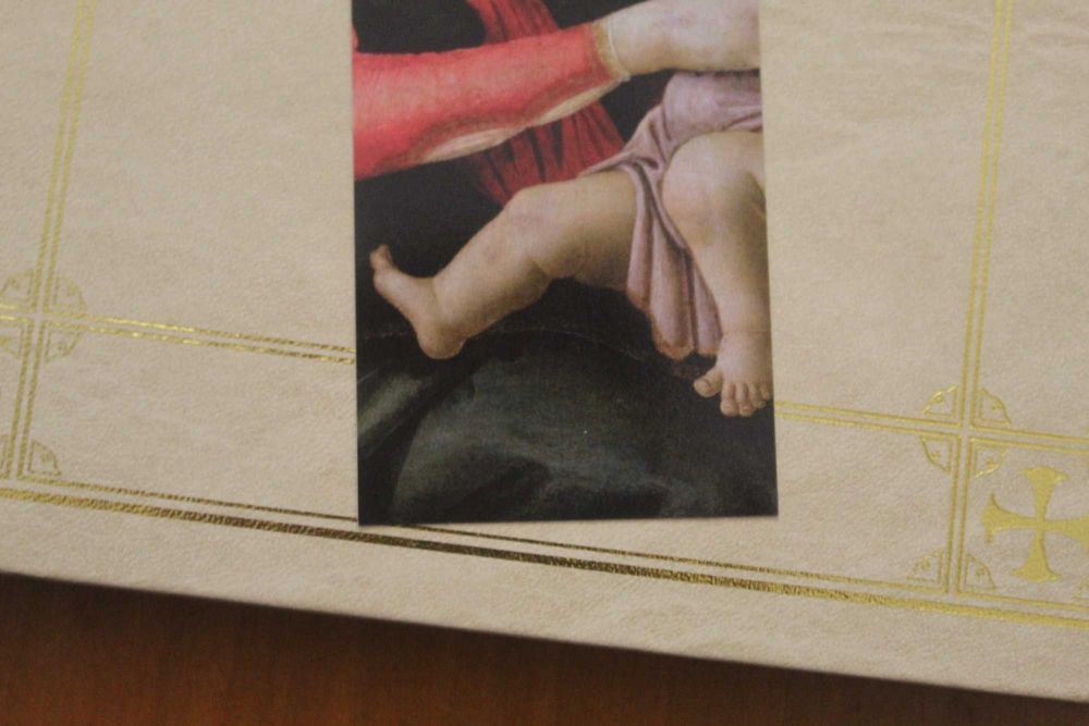 Santos de Todos os Dias - Janeiro