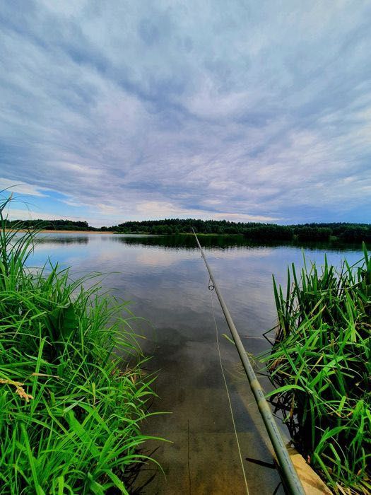 Działka przy zalewie z dostępem do rzeczki wydzierżawię