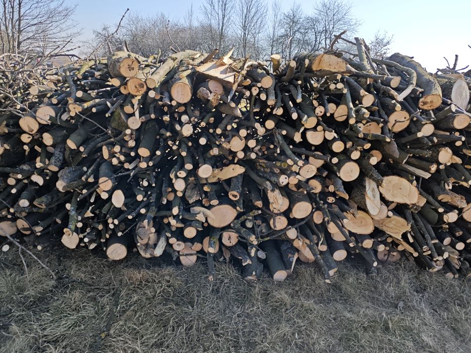 Drewno jesion opał sprzedam
