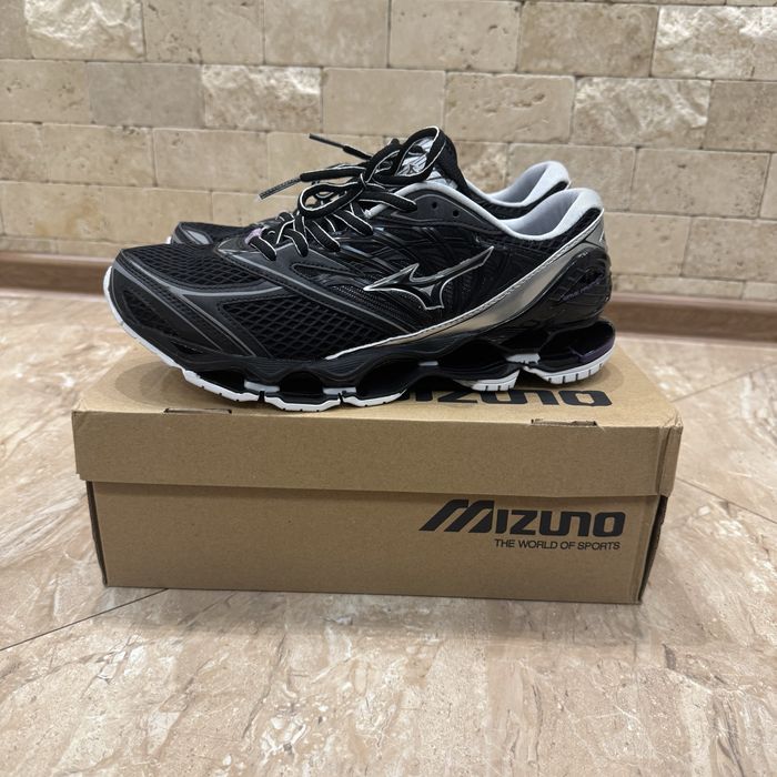 Mizuno wave prophecy LS
