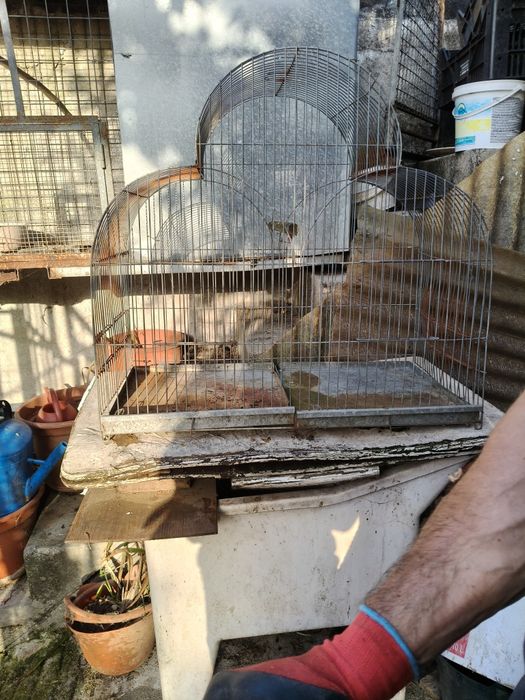Gaiola grande para aves