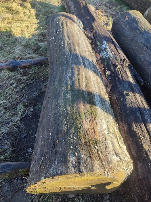 Кругляк дуба, пиломатеріали.