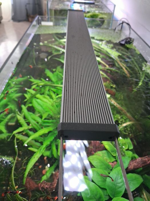 Aquário 60x40x40