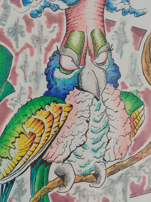 dois quadros "papagaios" pintados a mão, assinados