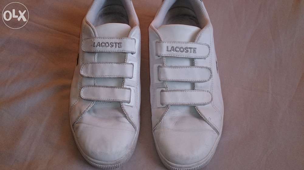 Buty Lacoste 42 - 42,5 Lublin Warszawa