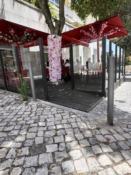 Guarda-sóis Profissionais Vermelhos 3x3m - Esplanada Restauração [Vende-se Lote]