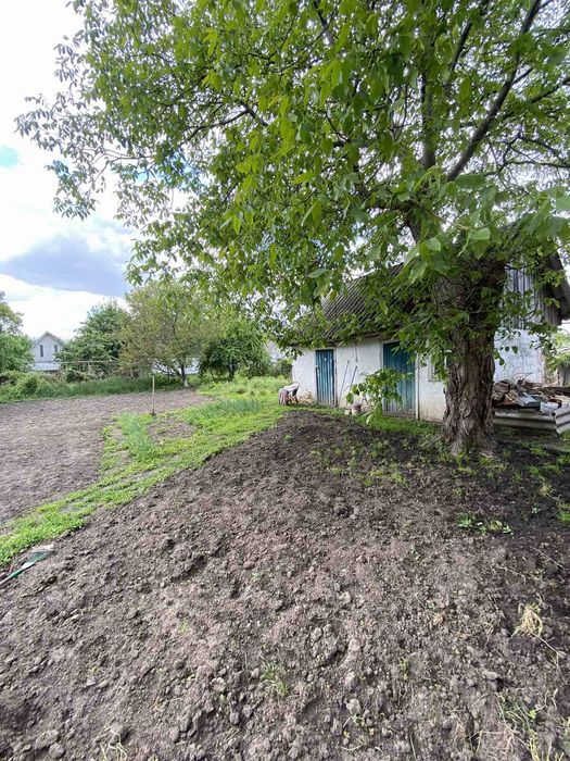 Продам будинок по вул.Толстого.Бориспіль