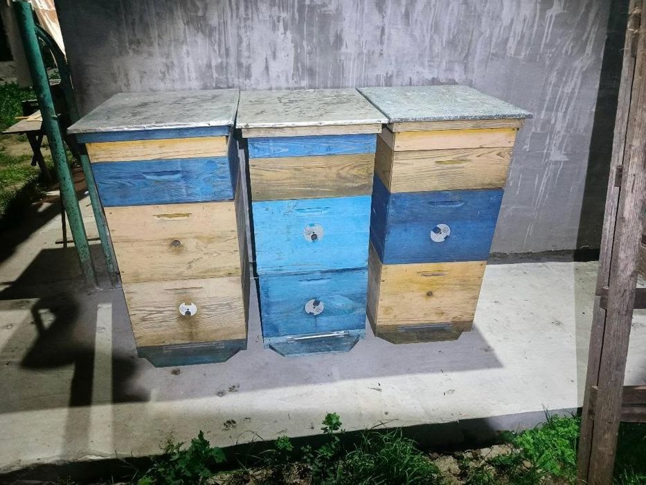 Євро вулики для бджіл