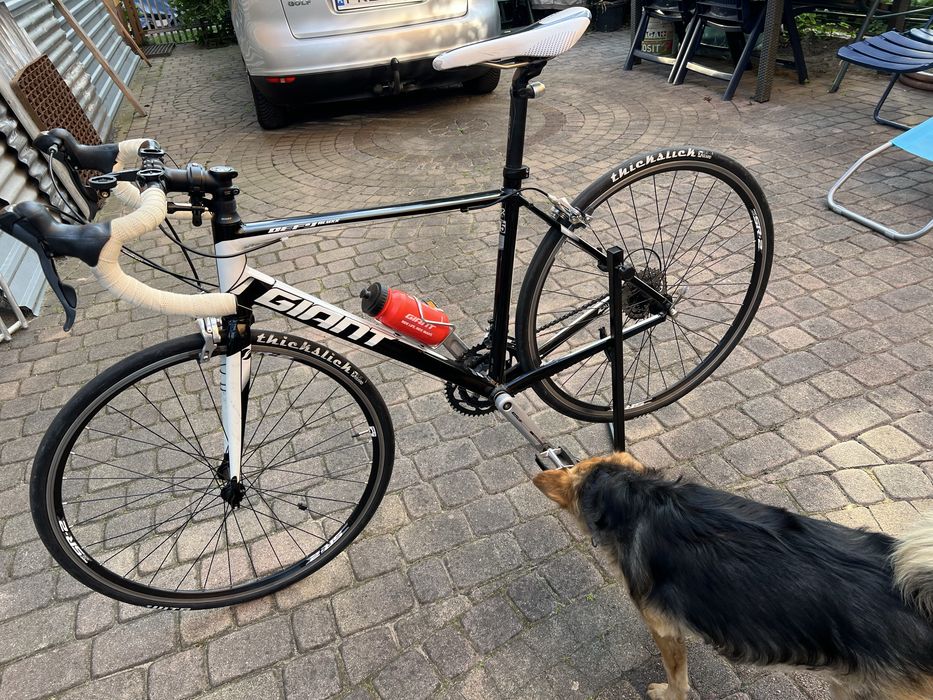 Rower szosowy Giant defy 5