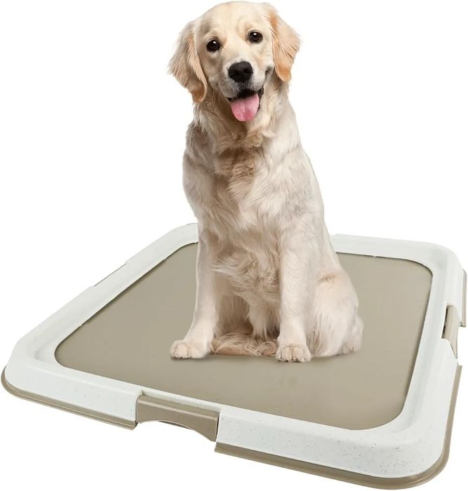 Duża toaleta treningowa dla psa