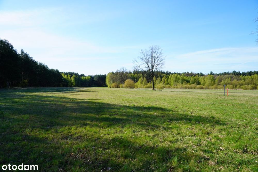 Dzialki budowlane Lipinki/Suchleb