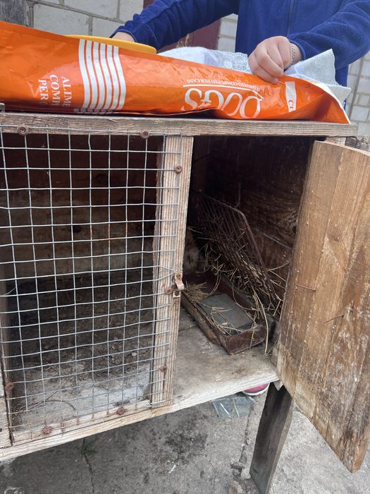 Клітки для кролів