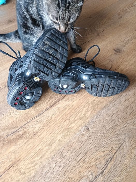 Buty Nike air tn
