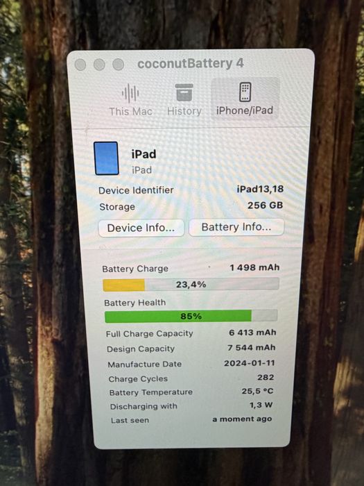 iPad 10 gen 256gb Silver