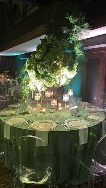 Krzesła Ghost Transparentne Wypożyczalnia Dekoracji