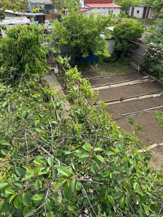 Продається дача в СОГ "Ювілейний"