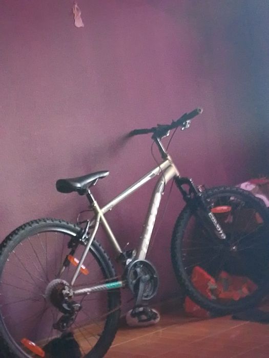 Bicicleta  coyote