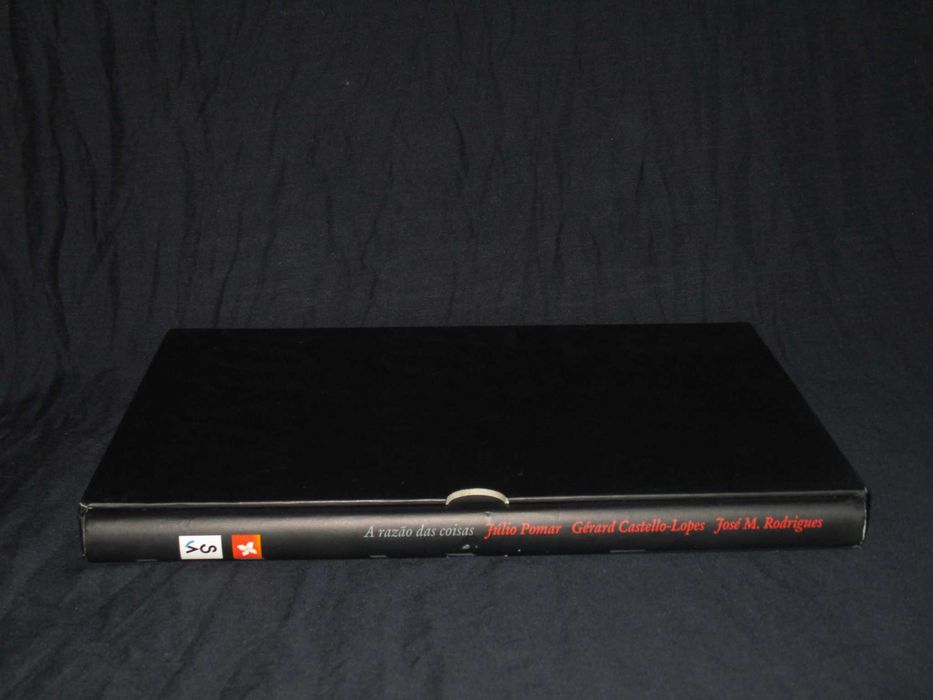 Livro A Razão das Coisas Júlio Pomar Gérard Castello-Lopes