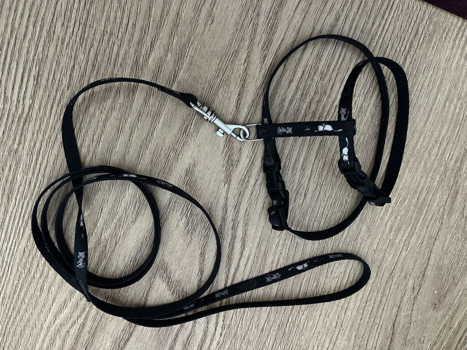 Arnes e Guia de passeio