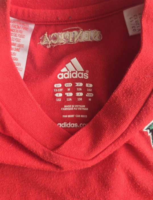 T-shirt Adidas Benfica formação