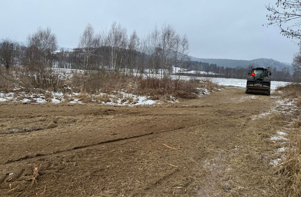 Rekultywacja usuwanie zadrzewień mulczowanie