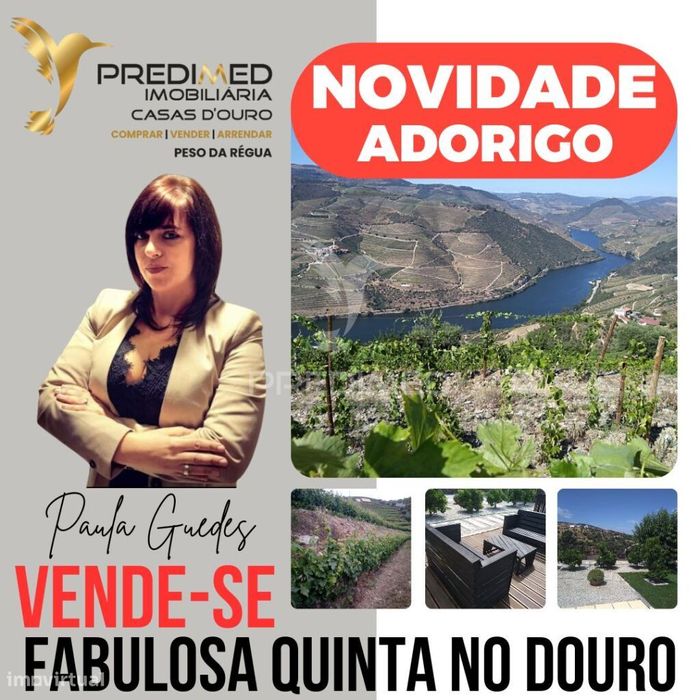 Magnífica quinta vinícola, para venda, no Alto Douro Vinhateiro