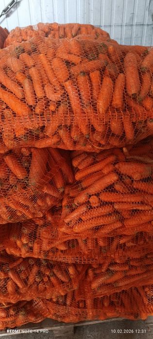 Sprzedam marchew (25kg)