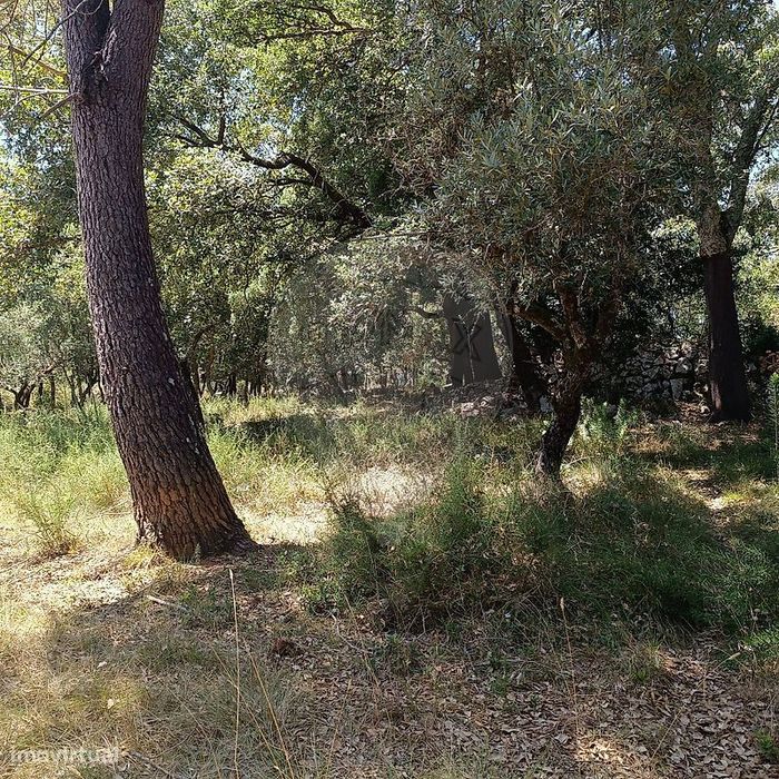 Terreno  para venda