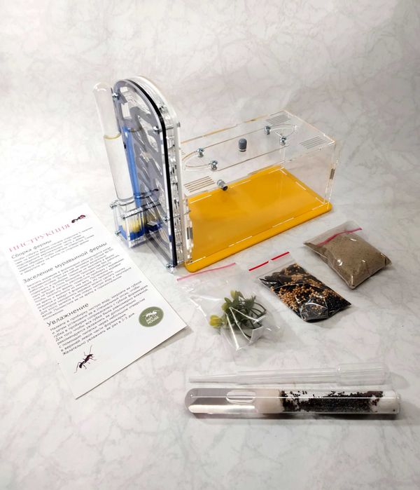 Муравьиная ферма (формикарий) вертикальная «AntTown» Комплект Космос