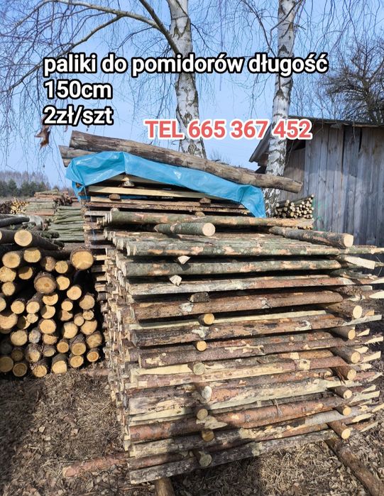 Paliki do pomidorów kołki 150cm tanio