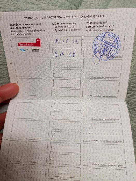 Дівчинка красунечка,карамельна ДюшескаF2