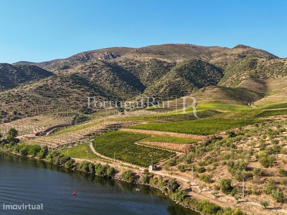Quinta no Douro junto ao Rio com 3 construções